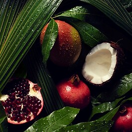 Nutriplenish™ - Yoğun Nemlendirici Şampuan