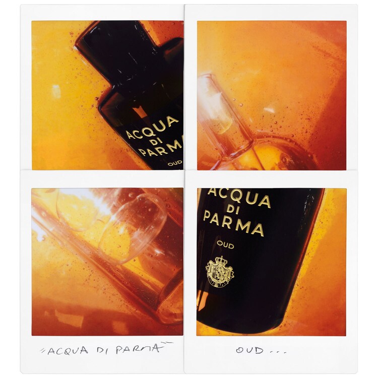 Signatures of the Sun Oud - Eau de Parfum Boisé