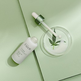 Phyto CBD Serum - Serum