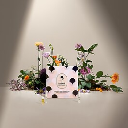 Perfect Skin - Collection