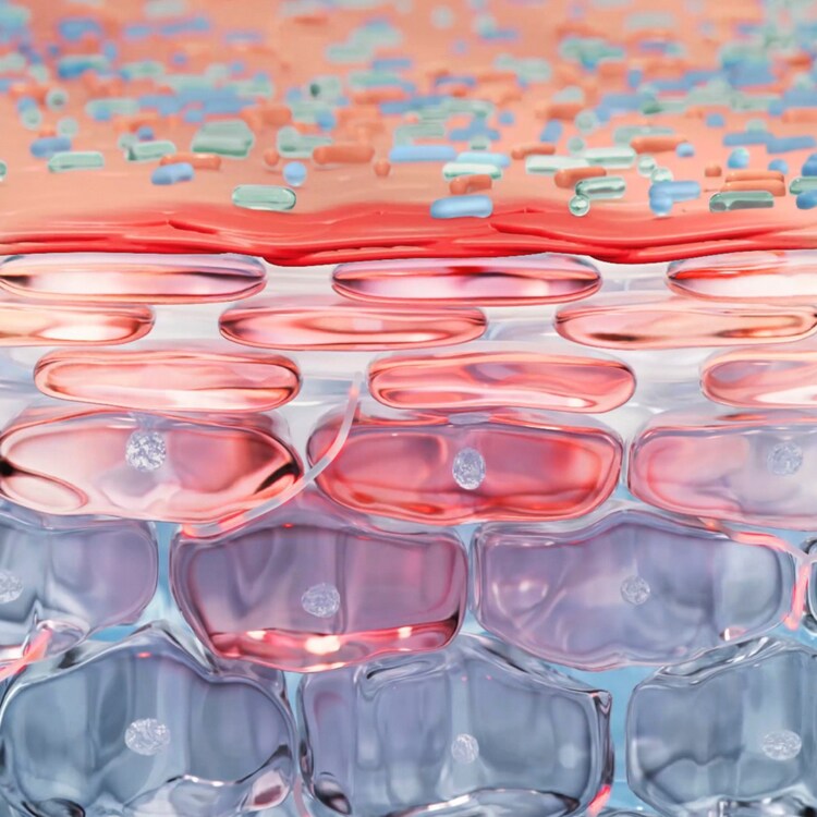 Créaline H2O TS - Eau micellaire démaquillante peaux très sèches