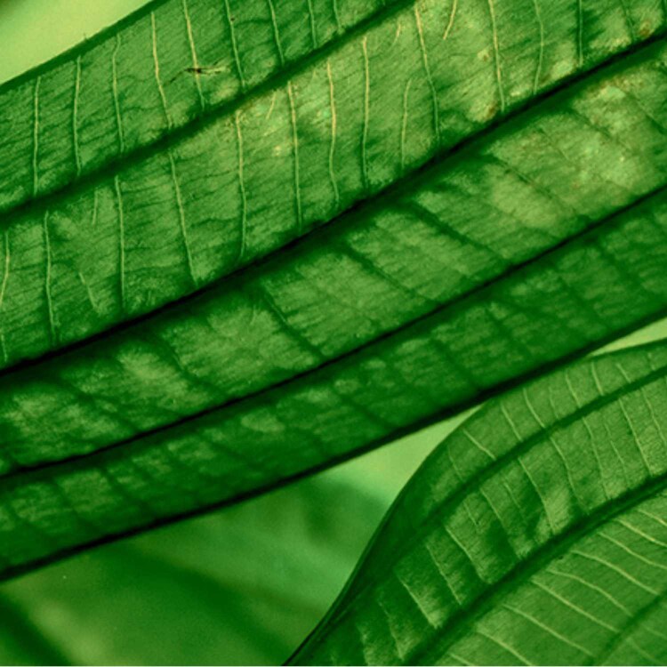 Aquasource Night Spa - Creme de noite