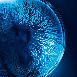 Life Plankton - Essence-In-Mask