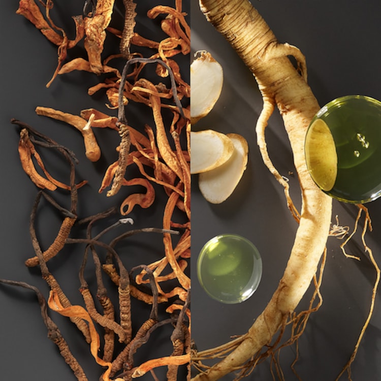 Intensive Serum Foundation - Fond de Teint Sérum SPF40