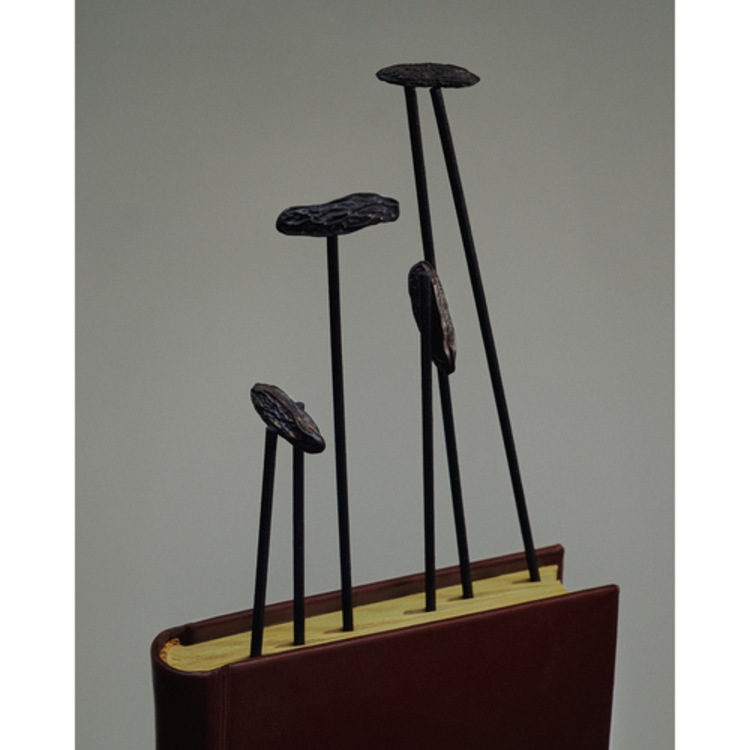 Patchouli, Cuir, Fèves de tonka - Bougie