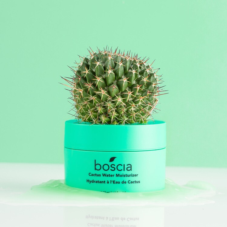 Cactus Water Moisturizer - Hydratant à l'Eau de Cactus