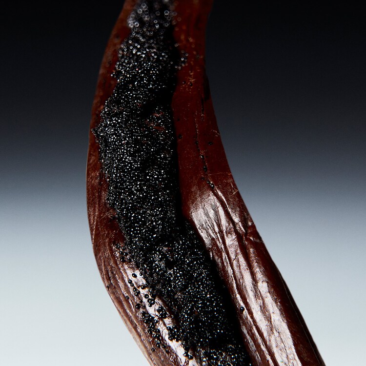 Illusione Bois Nu For Him - Woda toaletowa