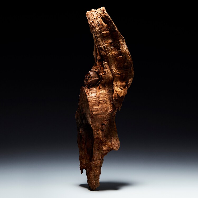 Illusione Bois Nu For Him - Woda toaletowa