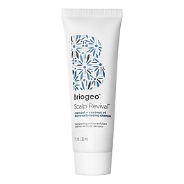 Scalp Revival - Shampooing micro-exfoliant charbon et huile de coco