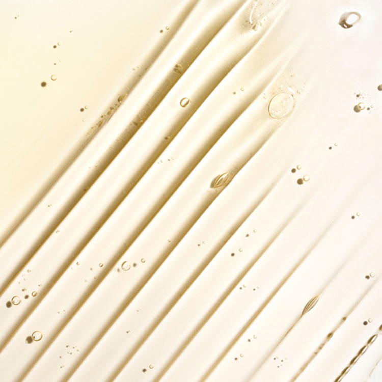 Blossom & Bloom Ginseng + Biotin Volumizing Shampoo - Shampooing Volumisant