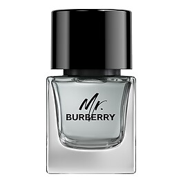 Mr. Burberry - Eau de Toilette