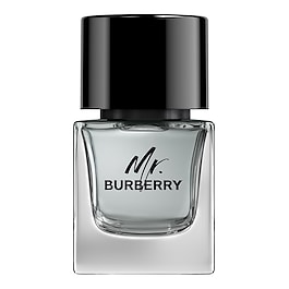 Mr. Burberry Eau de Toilette image