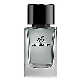 Mr. Burberry - Eau de Toilette
