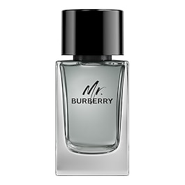 Mr. Burberry - Eau de Toilette image
