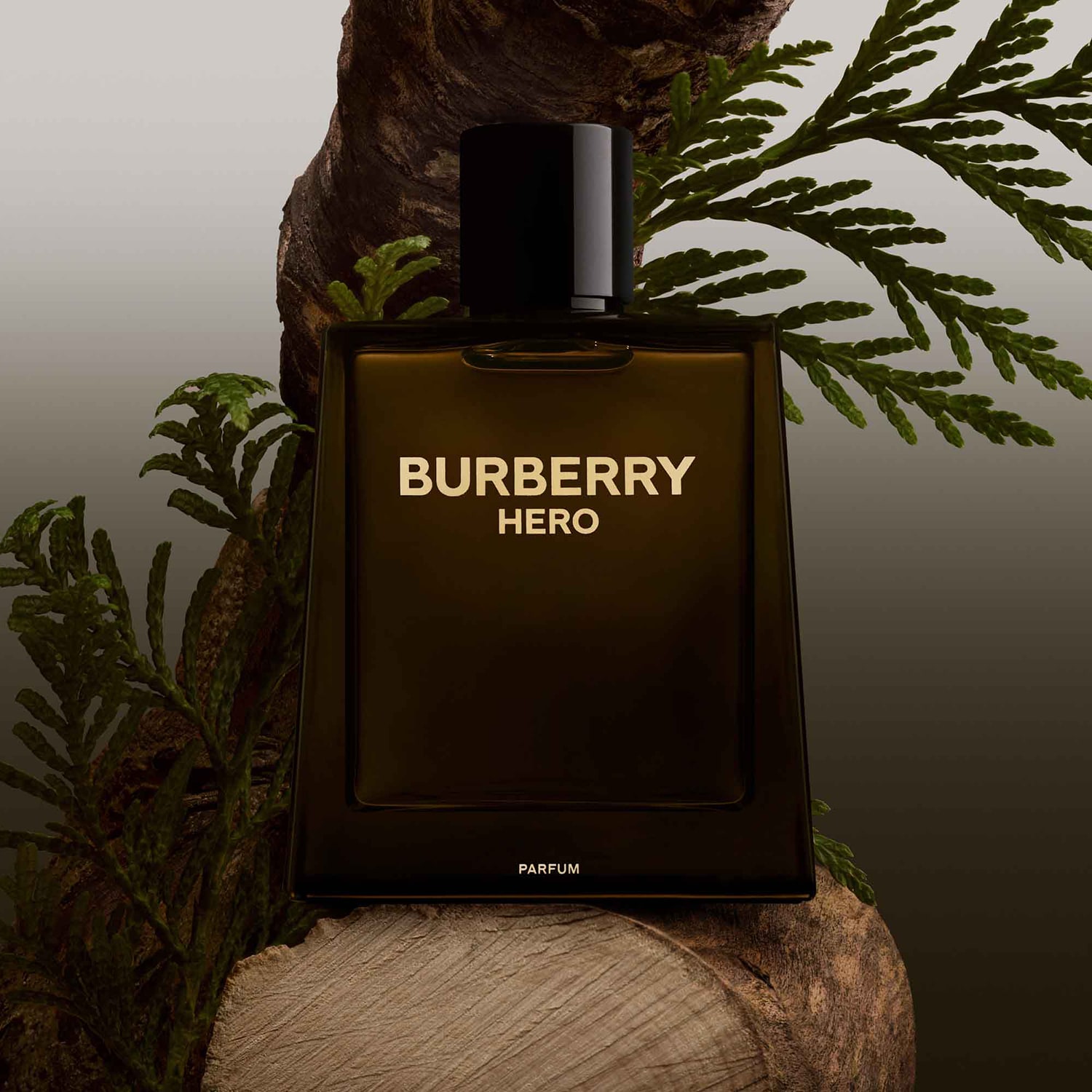 BURBERRY HERO オードパルファム 100ml バーバリー ヒーロー オードパルファム 100mL - メンズ | Burberry