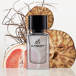 Mr. Burberry - Eau de Toilette