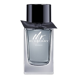 Mr. Burberry Indigo image