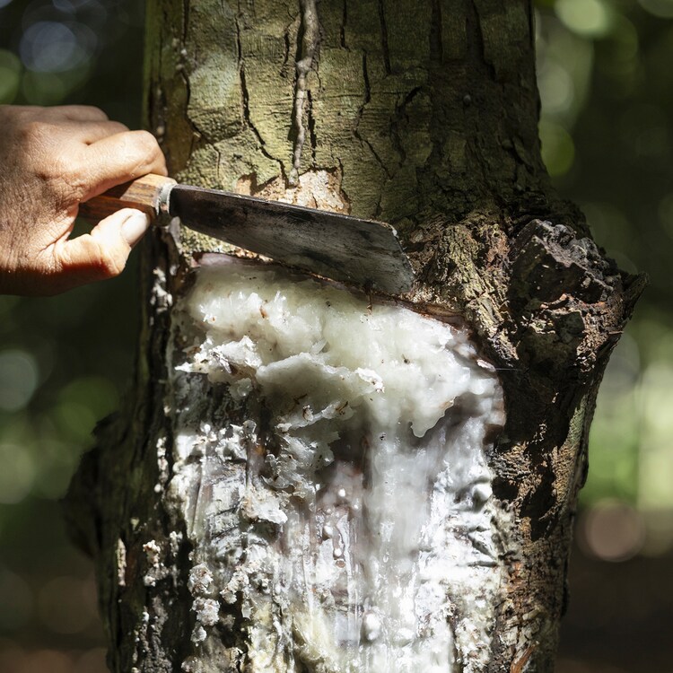 Bvlgari Man in Black -  Parfum