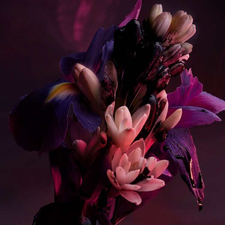 Bvlgari Man in Black -  Parfum