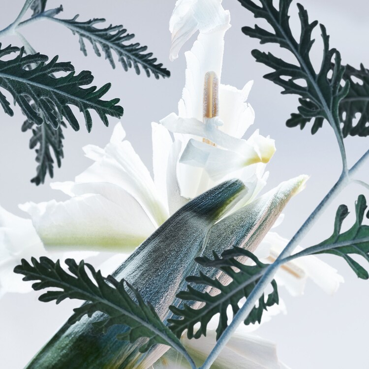 Bvlgari Man Glacial Essence - Eau de Parfum 