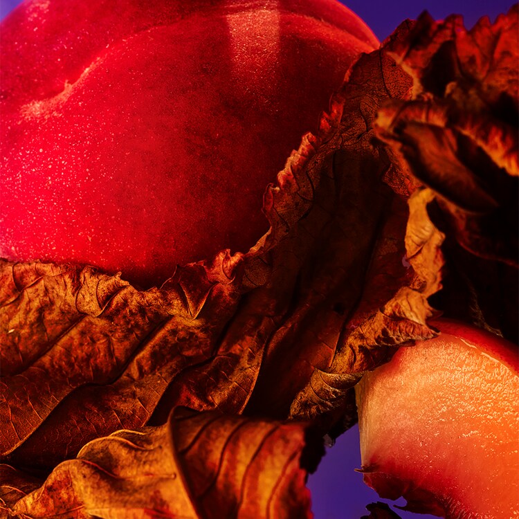 Allegra Fantasia Veneta - Eau de Parfum