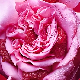 Allegra Fiori D'amore - Woda perfumowana