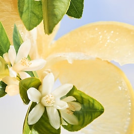  Allegra Riva Solare - Woda perfumowana