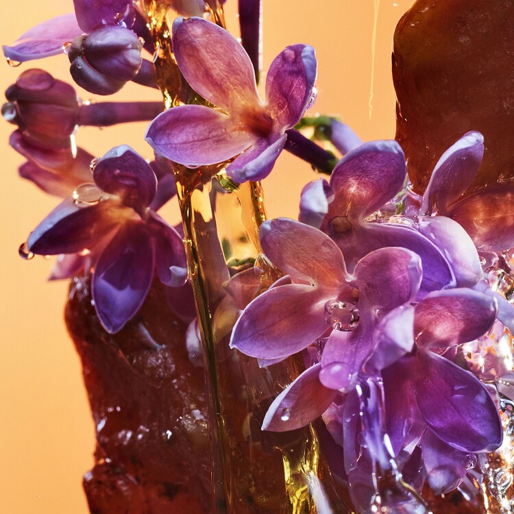 Allegra Rock'N'Rome - Eau de Parfum