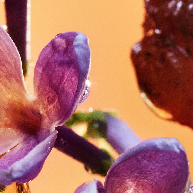 Allegra Rock'N'Rome - Eau de Parfum