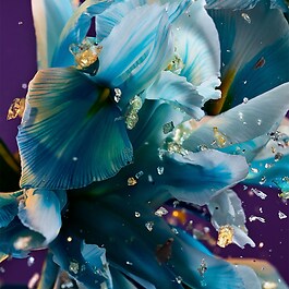 Allegra Spettacolore - Woda perfumowana