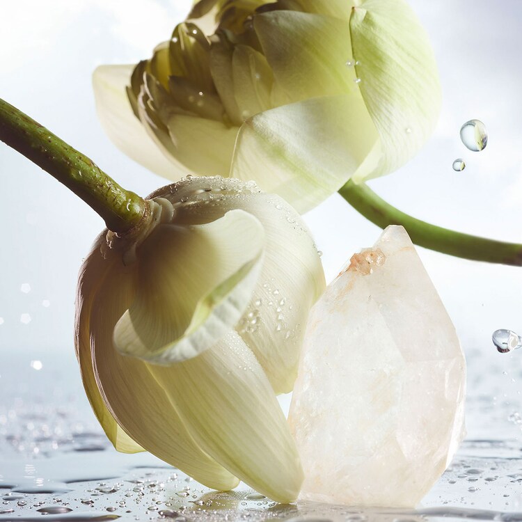 Bvlgari Man Rain Essence - Eau de Parfum