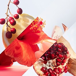 OMNIA CORAL Eau d' Toilette