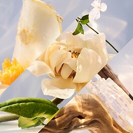 Omnia Crystalline EdP