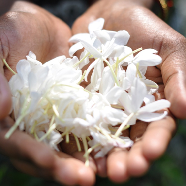 Omnia Crystalline - Eau De Parfum