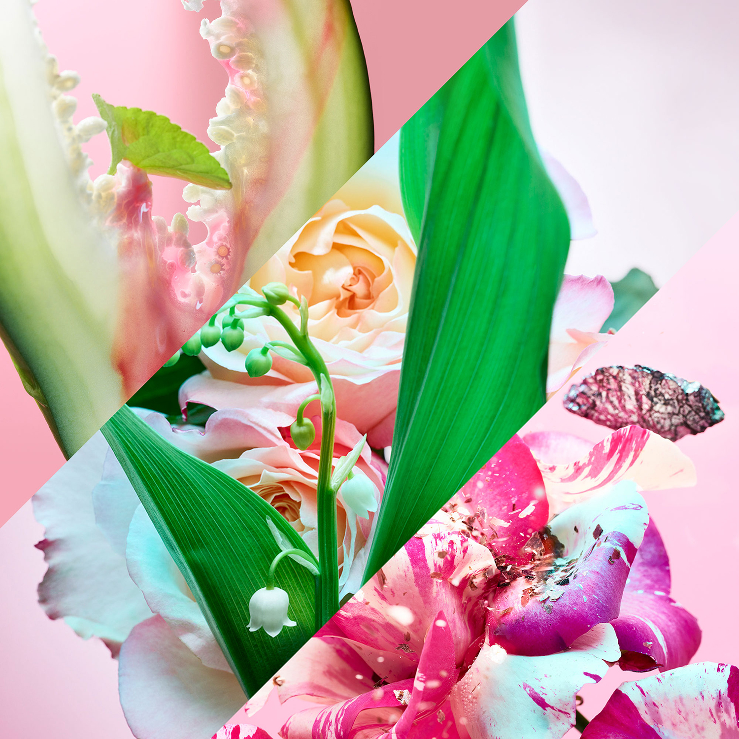 Rose Goldea Blossom Delight - Eau De Parfum ❘ BVLGARI ≡ SEPHORA