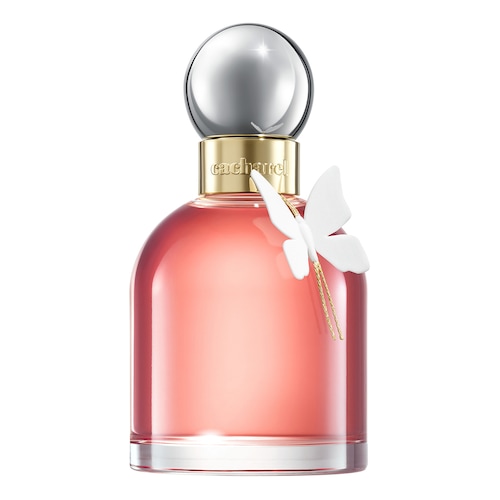 Découvrir le produit