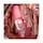 Yummy Mists Rose Mallow - Brume Parfumée Floral Fruité Corps et Cheveux