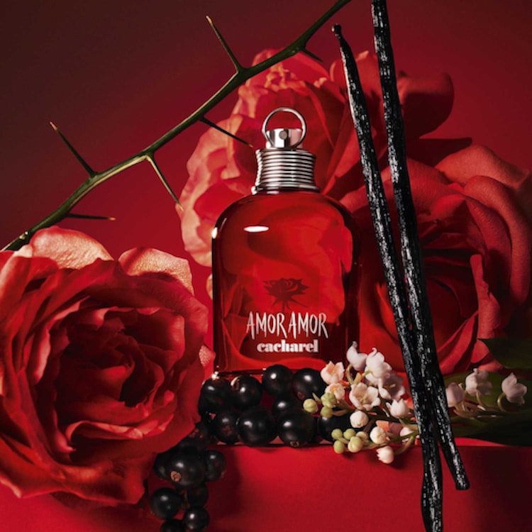 Amor Amor - Eau de Toilette