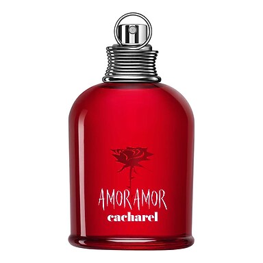 Découvrir le produit