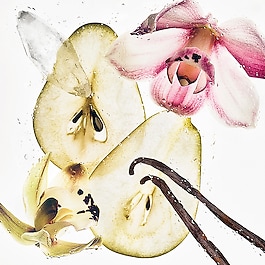 CK Nude Vanilla - Unisex Hair & Body Perfume Mist 