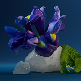 CK One Night Essence - Perfumy Intensywne