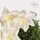 CK Cotton Musk Unisex Hair & Body - Perfume Mist 