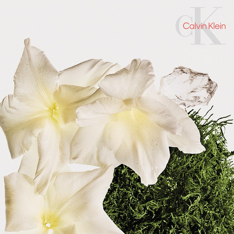 CK Cotton Musk Unisex Hair & Body - Perfume Mist 