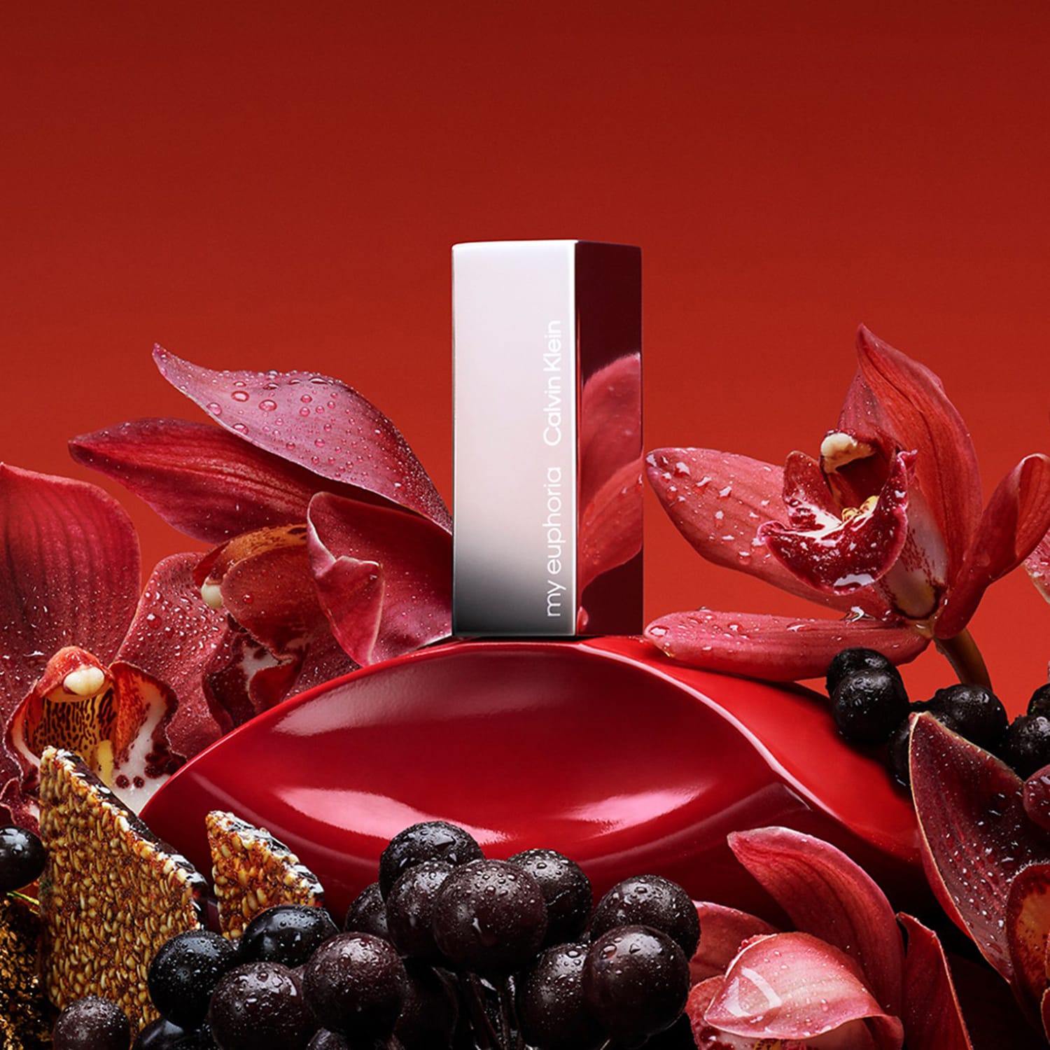 EUPHORIA アルノ ジアハオ サノク My Euphoria for Women - Eau de Parfum | CALVIN KLEIN ≡ SEPHORA