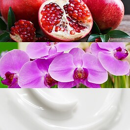 Euphoria - Woda Perfumowana Format Podróżny