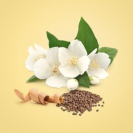 Beauty - Eau de Parfum