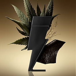 Bad Boy - Le Parfum Eau de Parfum