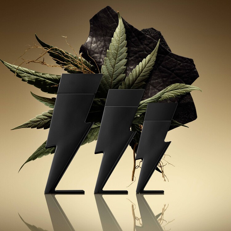 Bad Boy - Eau de Parfum 