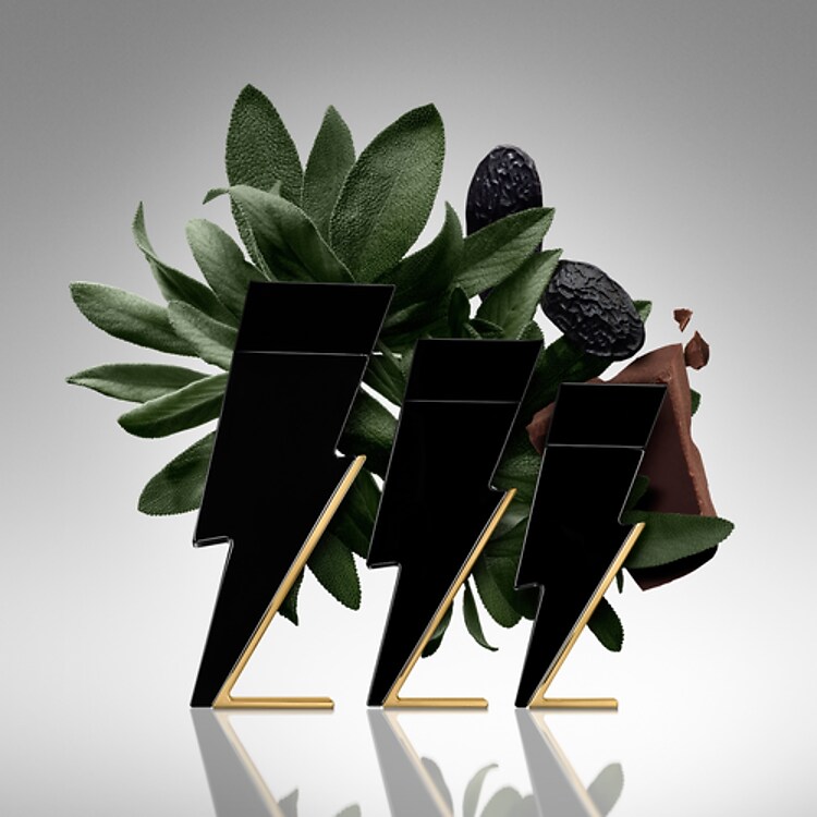 Bad Boy - Eau de Toilette