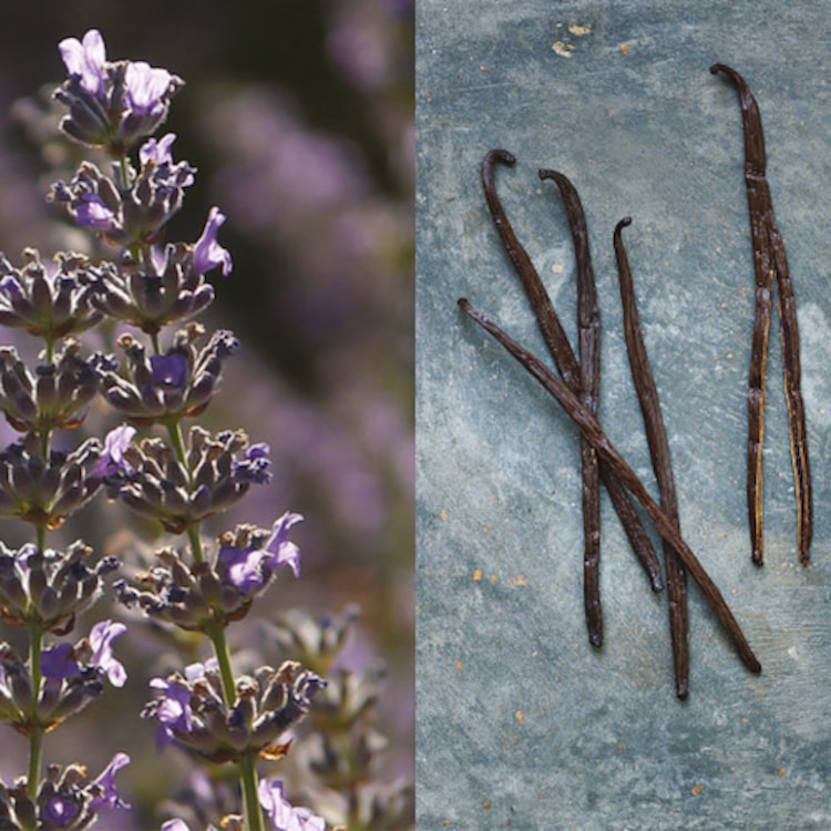 Pour Un Homme de CARON - Après-rasage